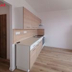 Rent 2 bedroom apartment of 39 m² in Svitavy