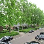 Rent 4 bedroom apartment of 108 m² in Badhoevedorp