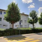 Rent 5 bedroom apartment of 76 m² in Lenzburg