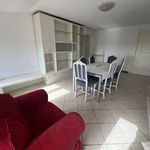 Rent 5 bedroom apartment of 130 m² in Massa