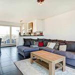 Rent 2 bedroom apartment of 80 m² in Hasselt