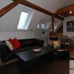 Miete 1 Schlafzimmer wohnung von 37 m² in Fürth