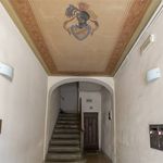 Rent 4 bedroom apartment of 75 m² in Firenze