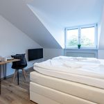 Rent 1 bedroom apartment of 24 m² in Würzburg