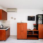 Rent 1 bedroom apartment of 20 m² in Split
