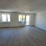 Rent 1 bedroom apartment of 45 m² in Plzeň