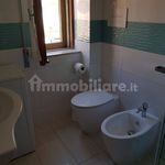 Rent 3 bedroom apartment of 80 m² in Campomarino