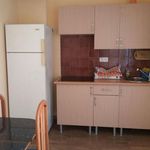 Alquilar 2 dormitorio apartamento en Alicante/Alacant