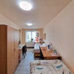 Rent 1 bedroom apartment of 10 m² in Olomouc