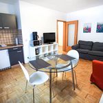 Rent 2 bedroom apartment of 40 m² in Essen