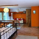 Rent 1 bedroom apartment of 45 m² in Karben
