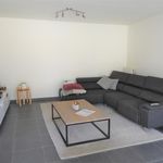 Rent 2 bedroom apartment in Wichelen