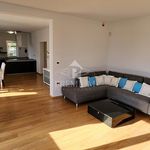 Rent 5 bedroom apartment of 142 m² in Ičići