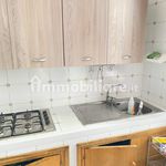 Rent 2 bedroom apartment of 45 m² in Palermo