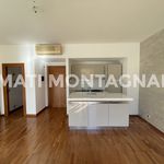 Rent 2 bedroom apartment of 57 m² in Roma