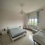 Rent 4 bedroom apartment of 75 m² in Viterbo