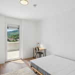 Miete 4 Schlafzimmer wohnung in Graz