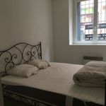 Rent 1 bedroom apartment of 33 m² in Toulouse