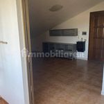 Rent 1 bedroom house of 50 m² in Sassari