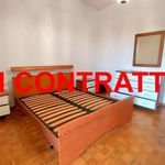 Rent 2 bedroom apartment of 70 m² in Monza