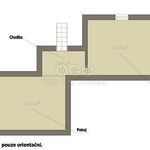 Rent 3 bedroom apartment of 81 m² in Plzeň