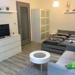 Rent 1 bedroom apartment in Chrudim
