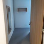 Rent 1 bedroom apartment of 20 m² in Oyonnax