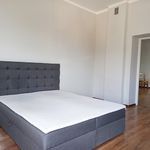 Wynajmij 3 sypialnię apartament z 75 m² w Kielce