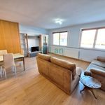 Rent 2 bedroom apartment of 100 m² in Bilbo