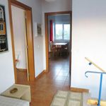 Rent 2 bedroom apartment in Porto Covo