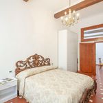 Rent 2 bedroom apartment of 65 m² in Florence