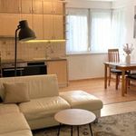 Rent 3 bedroom apartment of 66 m² in Debrecen