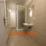Rent 2 bedroom apartment of 40 m² in Ostrava