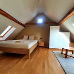 Rent 2 bedroom apartment of 41 m² in Langen