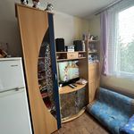Rent 1 bedroom apartment in Řenče