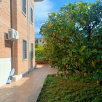 Rent 2 bedroom apartment of 100 m² in rome