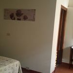 Affitto 2 camera appartamento di 40 m² in Florence