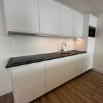 Rent 2 bedroom apartment of 81 m² in Eindhoven
