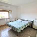 Affitto 4 camera appartamento di 90 m² in Capalbio