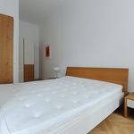 Rent 2 bedroom apartment of 52 m² in Wien