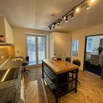 Rent 1 bedroom house of 184 m² in Brno