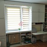 Rent 2 bedroom apartment of 50 m² in Kielce