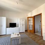Affitto 2 camera appartamento di 35 m² in Campobasso