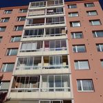 Rent 1 bedroom apartment of 27 m² in Bruntál