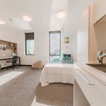 Rent 6 bedroom student apartment of 25 m² in Brisbane
