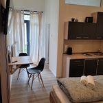 Rent 1 bedroom apartment of 18 m² in Koblenz