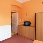 Rent 1 bedroom apartment of 20 m² in Karlovy Vary