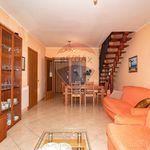 Rent 4 bedroom apartment of 120 m² in San Pietro Clarenza