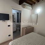 Rent 1 bedroom apartment of 45 m² in Carpi