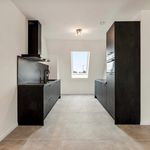 Rent 1 bedroom apartment of 74 m² in Stekene